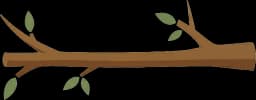 Branch